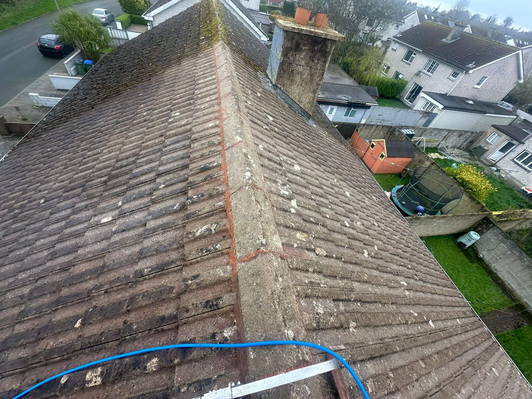 moss cleaned from roof