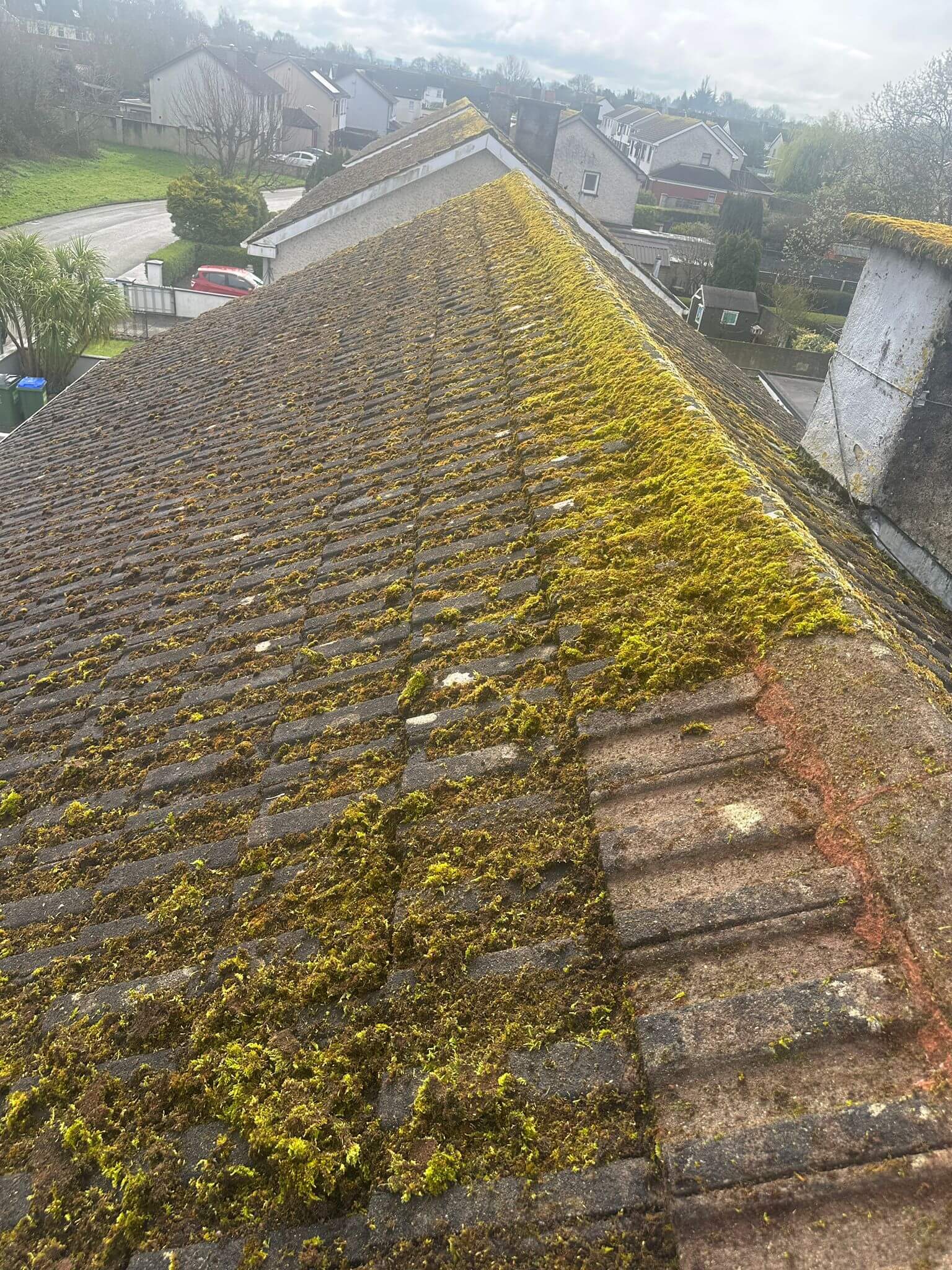 moss on roof