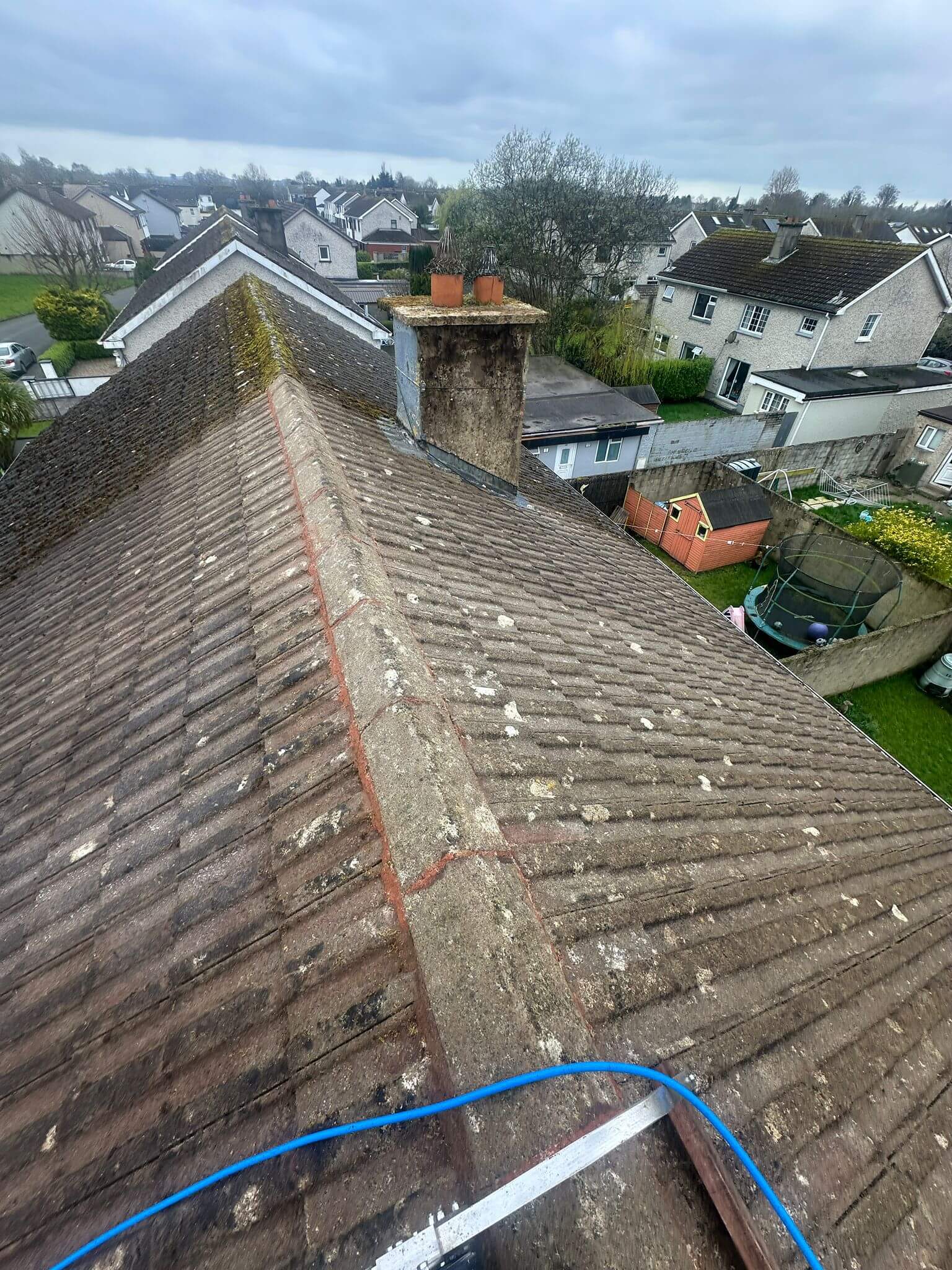 mossy roof cleaned