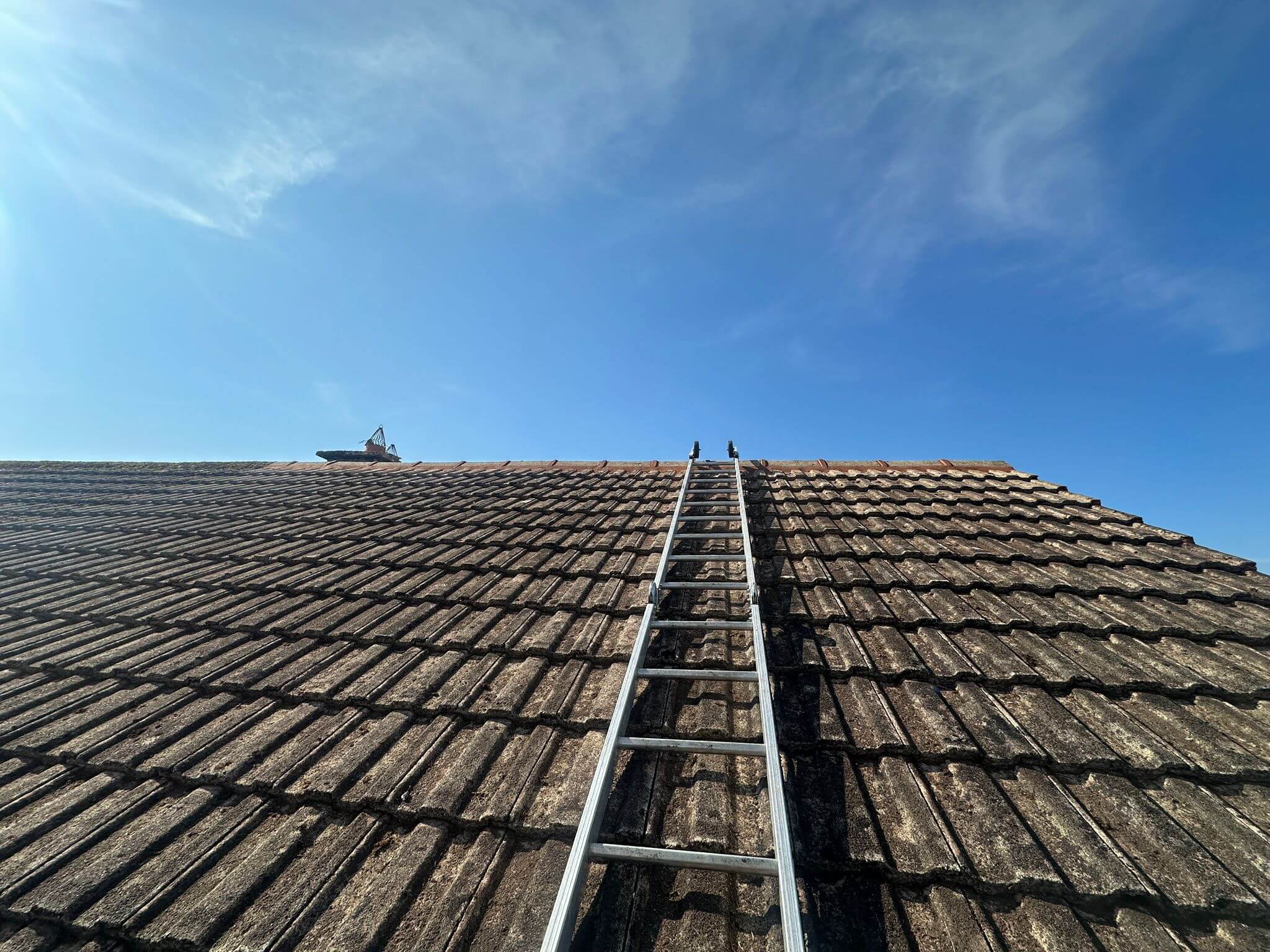 roof cleaning limerick