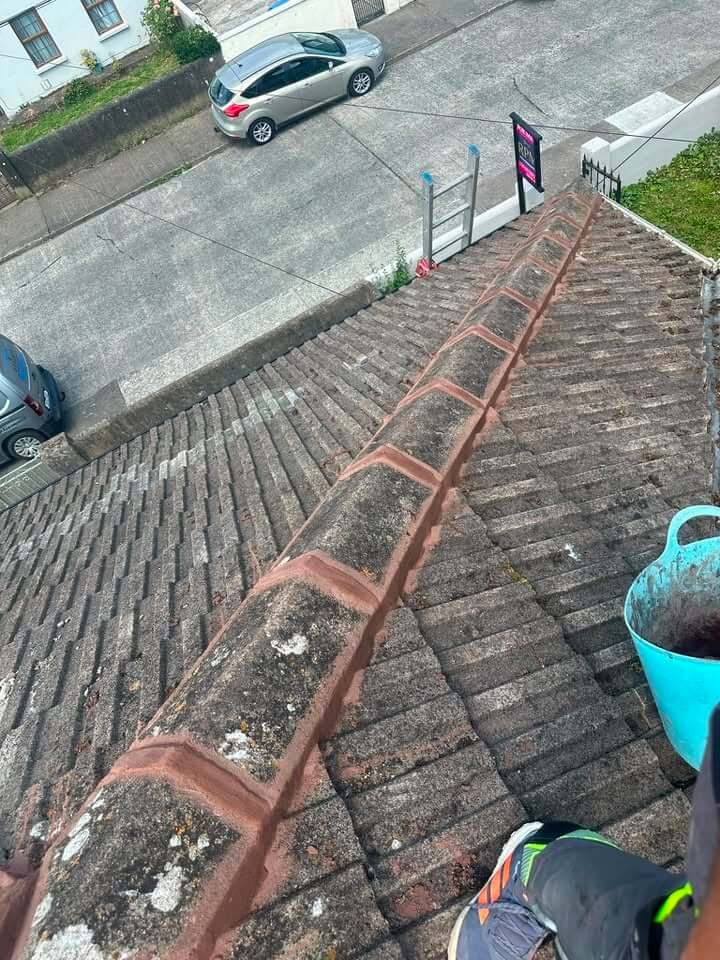roof tiles after repair